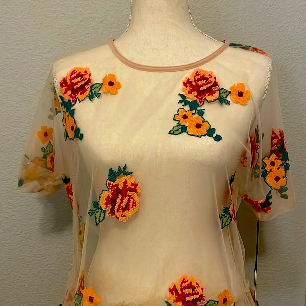 Sheer embroidered Anthropologie top.